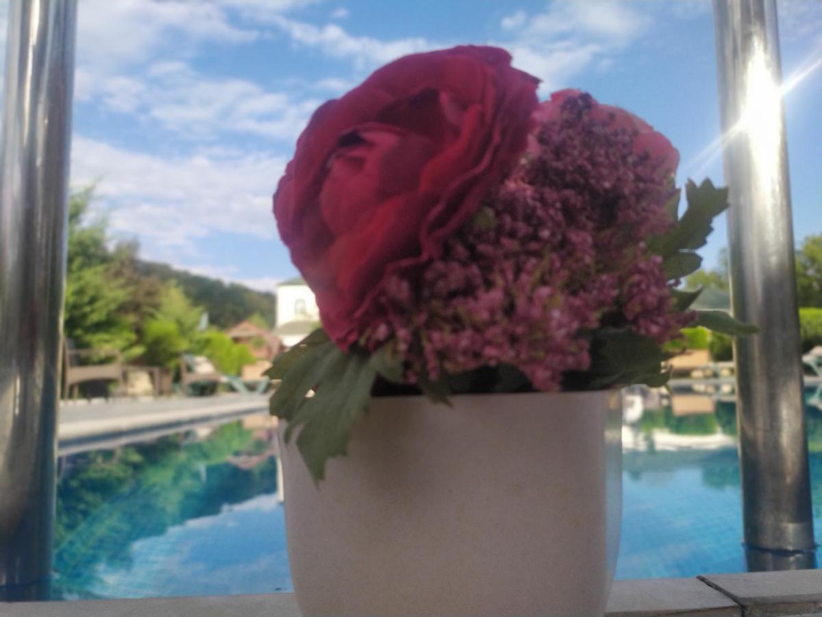 Bliss Hotel غابالا المظهر الخارجي الصورة